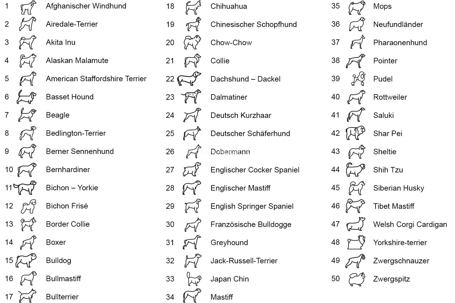 Hunderassen Übersicht